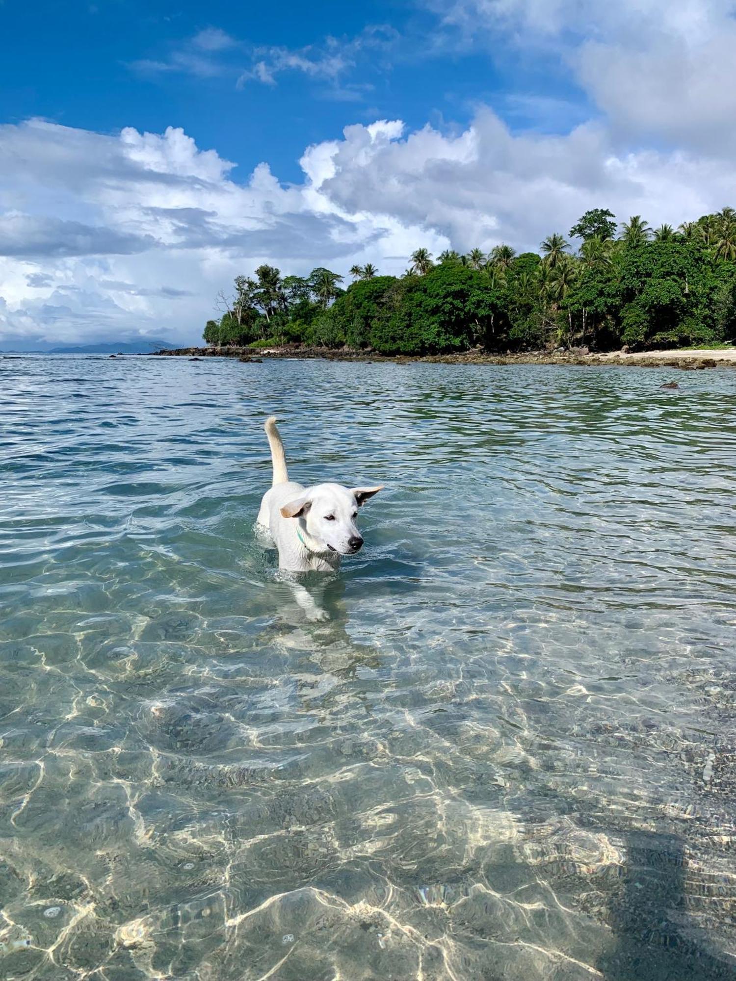 Sunset Beach Resort Weh Sabang  Eksteriør bilde